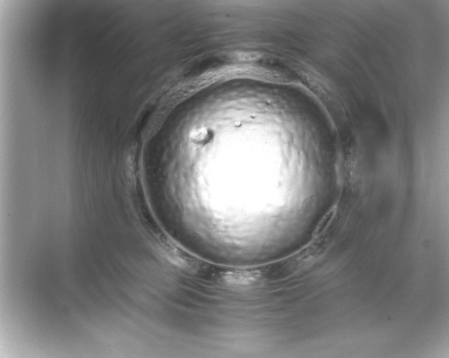 X0000071830373200607072216