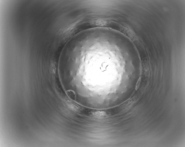 X0000071830374200607072216