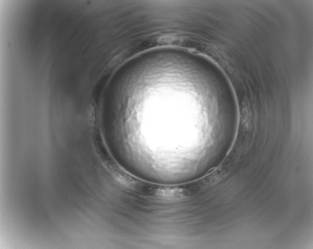 X0000071830375200607072216