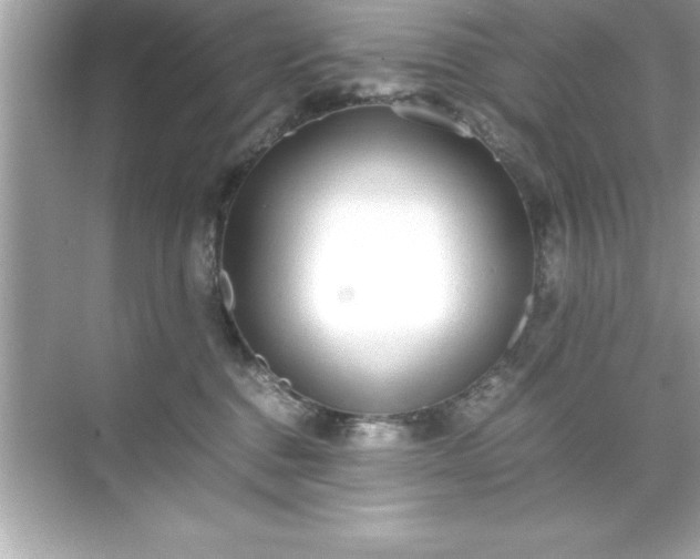 X0000071830376200607072216