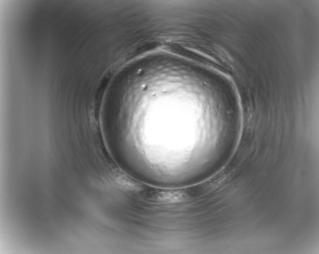 X0000071830377200607072216