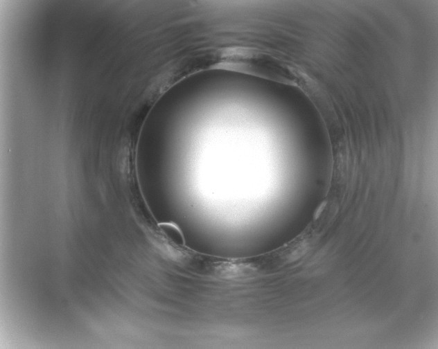 X0000071830379200607072216