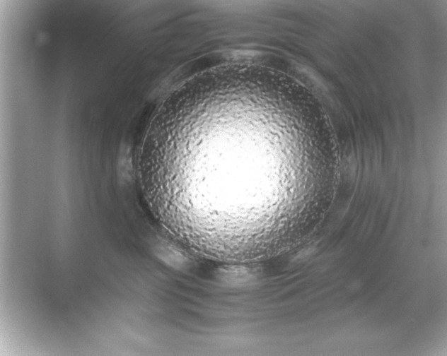 X0000071830381200607072216