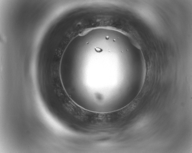 X0000071830383200607072216