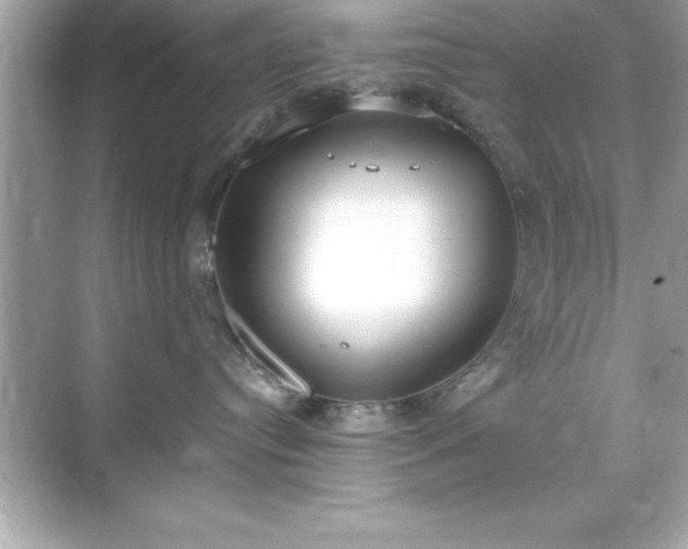 X0000071830384200607072216