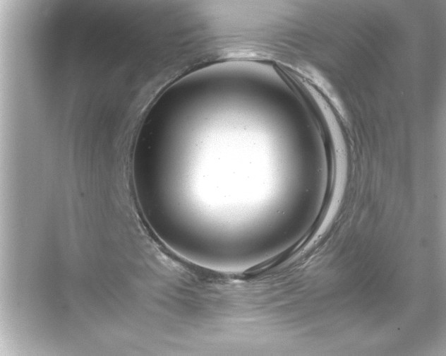 X0000071830385200607072215