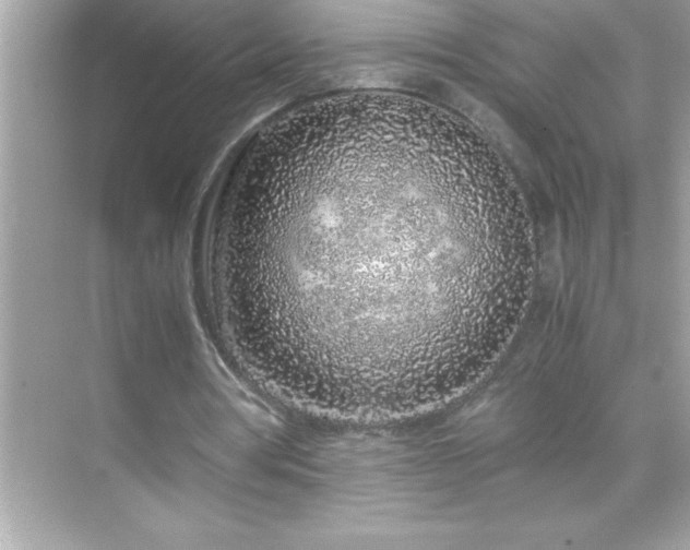 X0000071830386200607072215