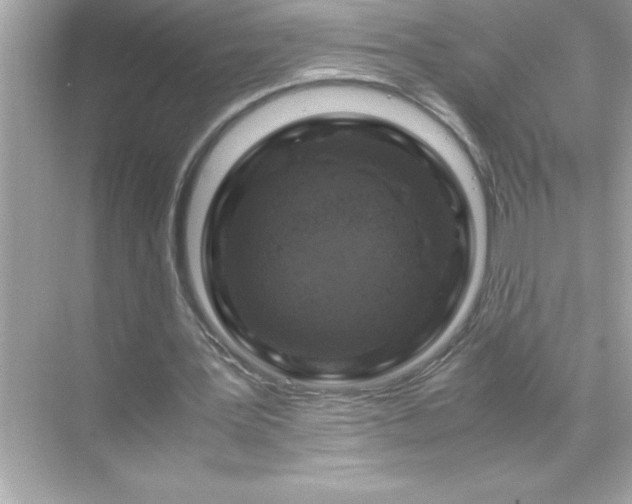 X0000071830387200607072215