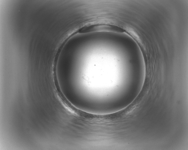 X0000071830389200607072215