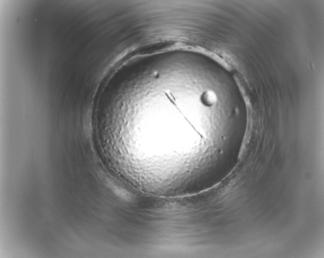 X0000071830390200607072215