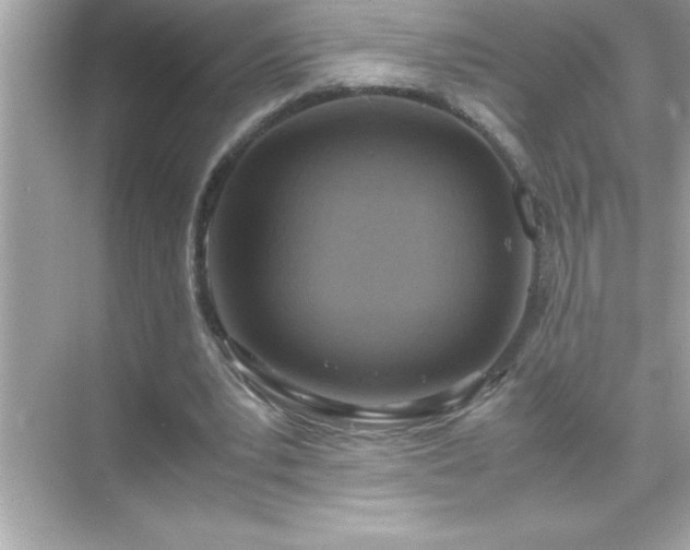 X0000071830391200607072215