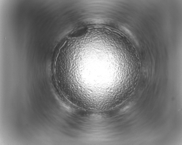 X0000071830394200607072215