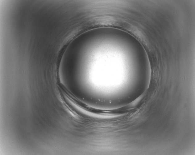 X0000071830397200607072215