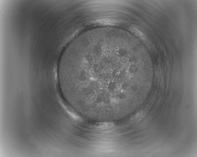 X0000071830398200607072215