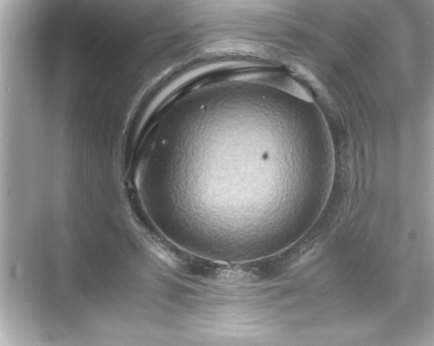 X0000071830399200607072215