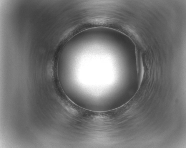 X0000071830400200607072215