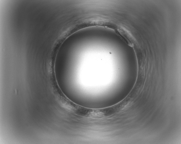 X0000071830403200607072215