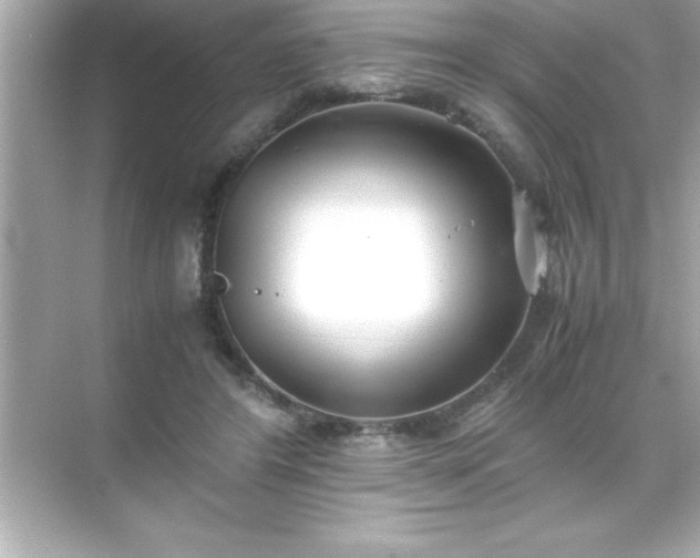 X0000071830404200607072215