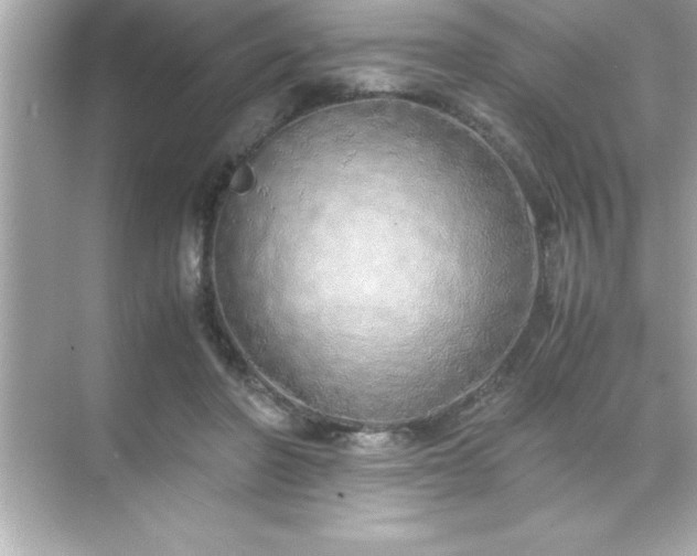 X0000071830406200607072215