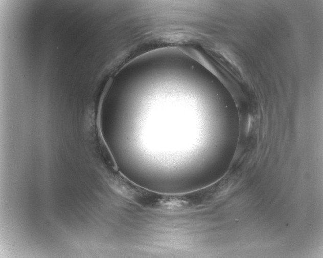 X0000071830407200607072215