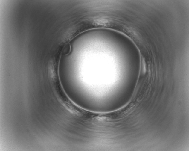 X0000071830408200607072215