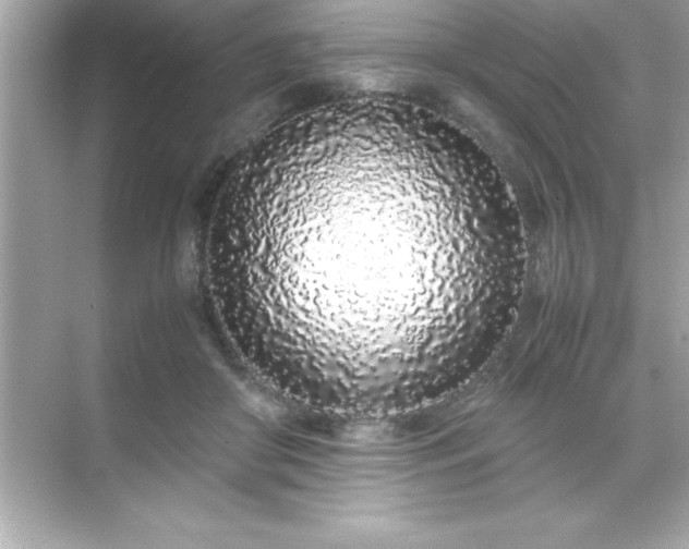 X0000071830410200607072215