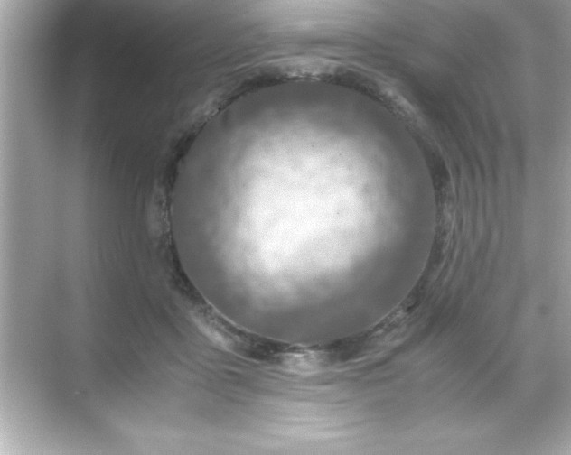 X0000071830411200607072215