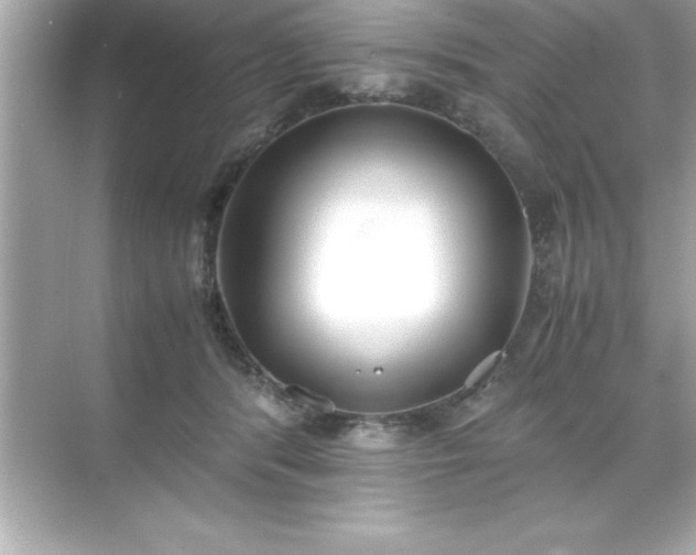 X0000071830416200607072215