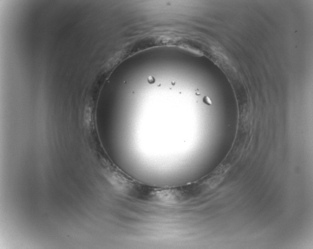 X0000071830417200607072215