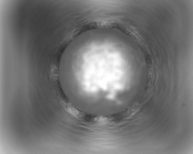 X0000071830419200607072215