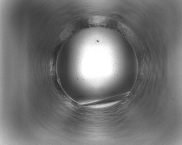 X0000071830420200607072215