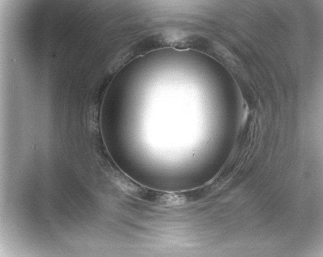 X0000071830421200607072215