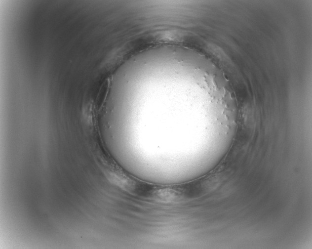 X0000071830423200607072215