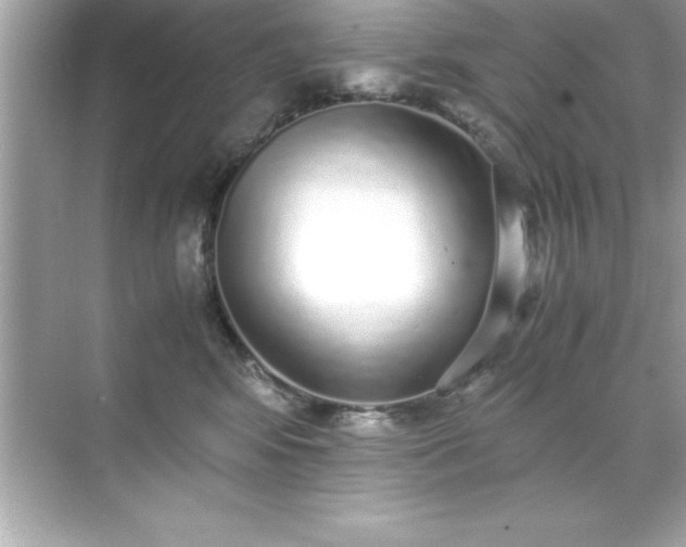 X0000071830424200607072215