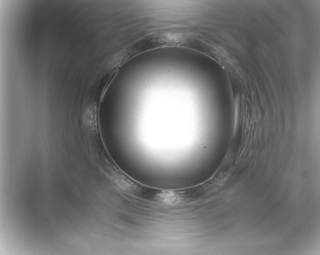 X0000071830425200607072215