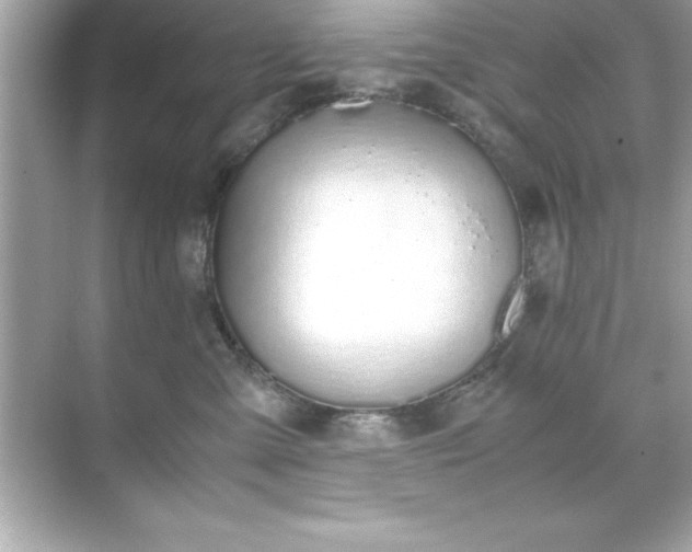 X0000071830427200607072214