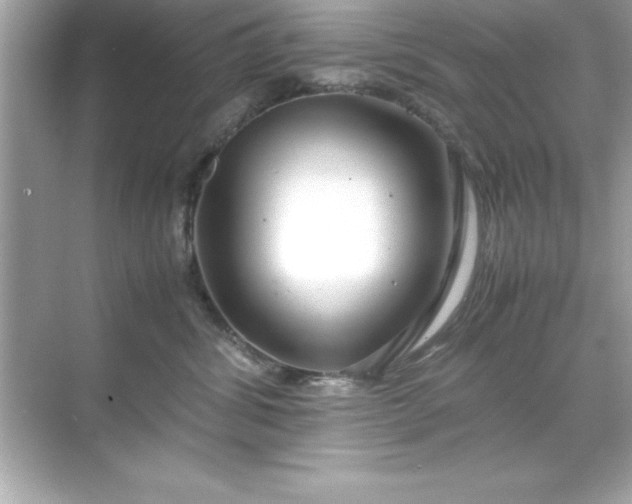 X0000071830428200607072214