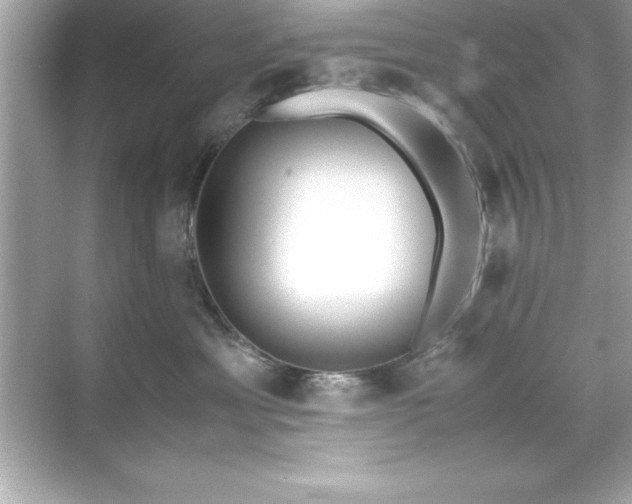 X0000071830429200607072214