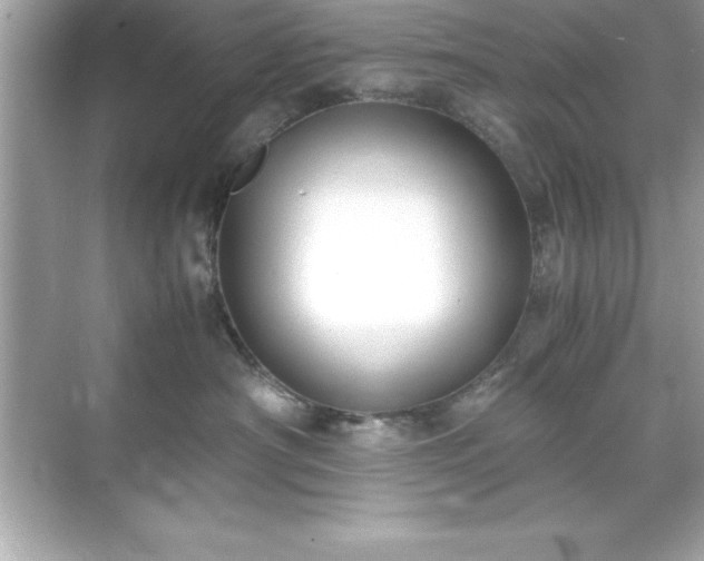 X0000071830430200607072214