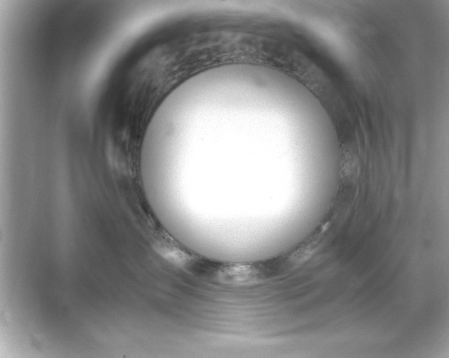 X0000071830431200607072214