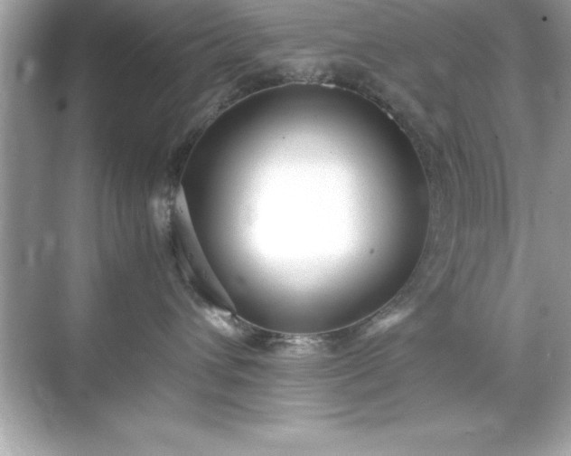 X0000071830432200607072214