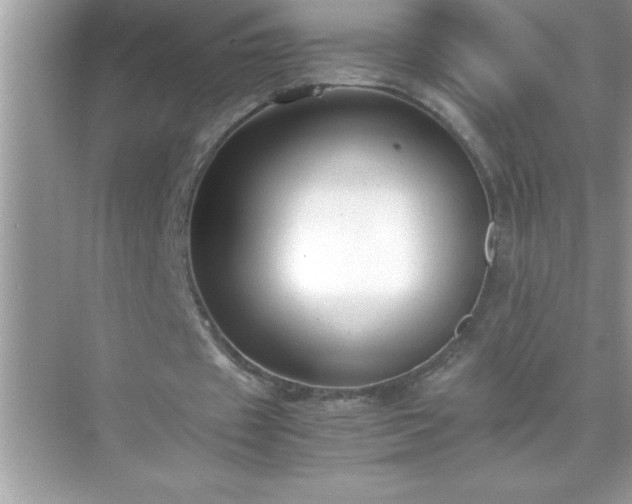 X0000071830433200607072214