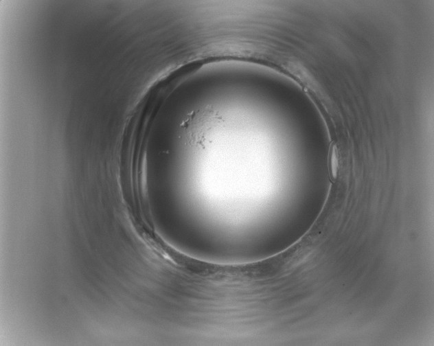 X0000071830434200607072214