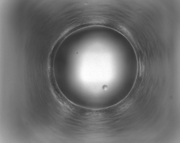 X0000071830435200607072214