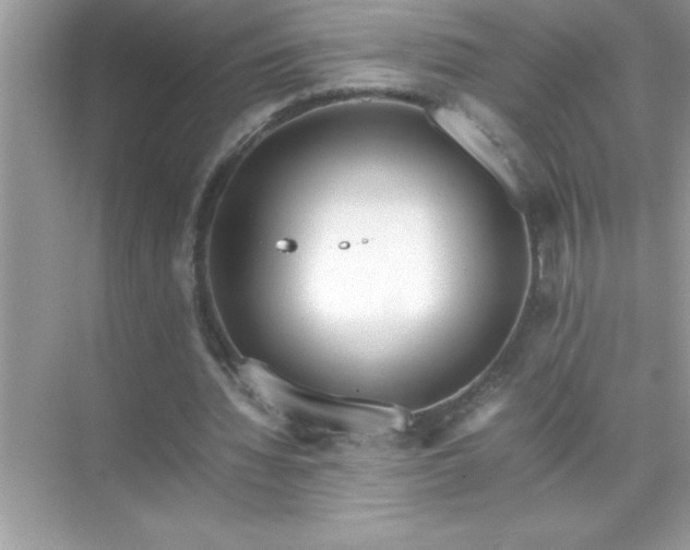 X0000071830436200607072214