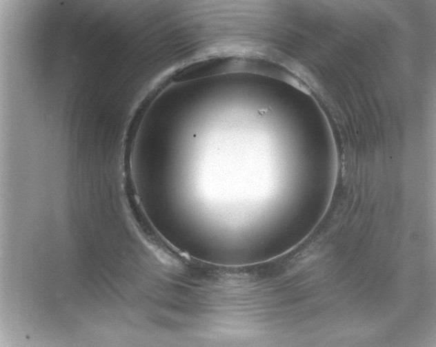 X0000071830438200607072214