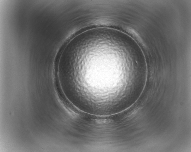 X0000071830439200607072214