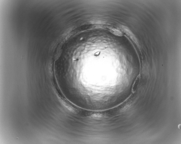 X0000071830441200607072214