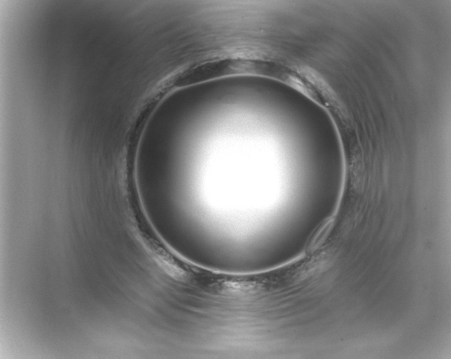 X0000071830442200607072214