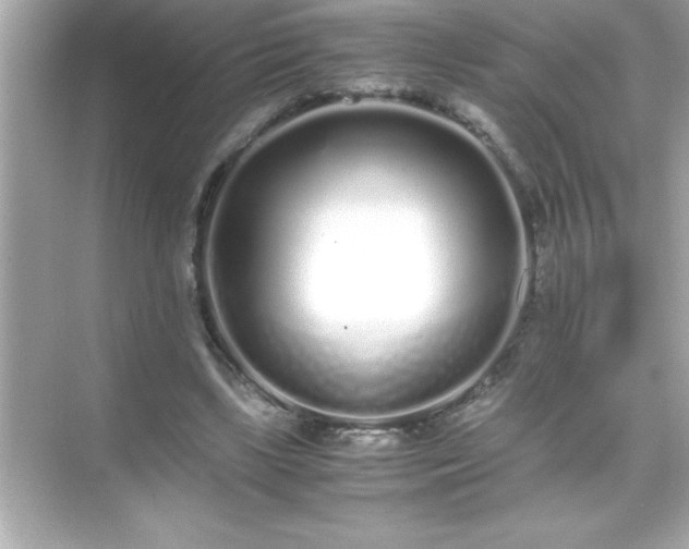 X0000071830443200607072214